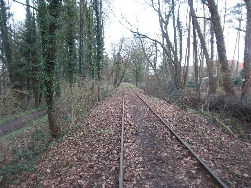 ZWNEGI35